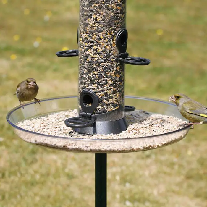 Seed Catcher Tray