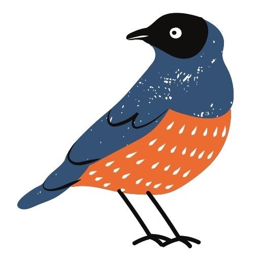BirdieExpert logo